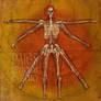 Vitruvian Appendages