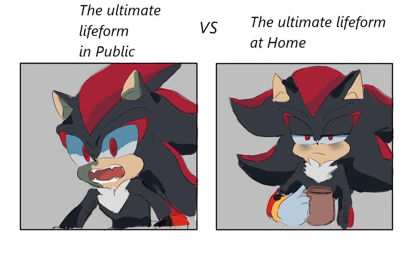 A shadow meme by azur352Na on DeviantArt