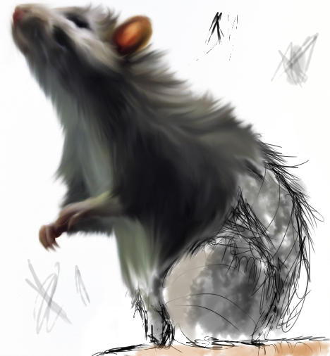 Rat Deviantart THE RAT by Stickytounge on DeviantArt