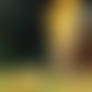 Woodland magic (3 of 4)