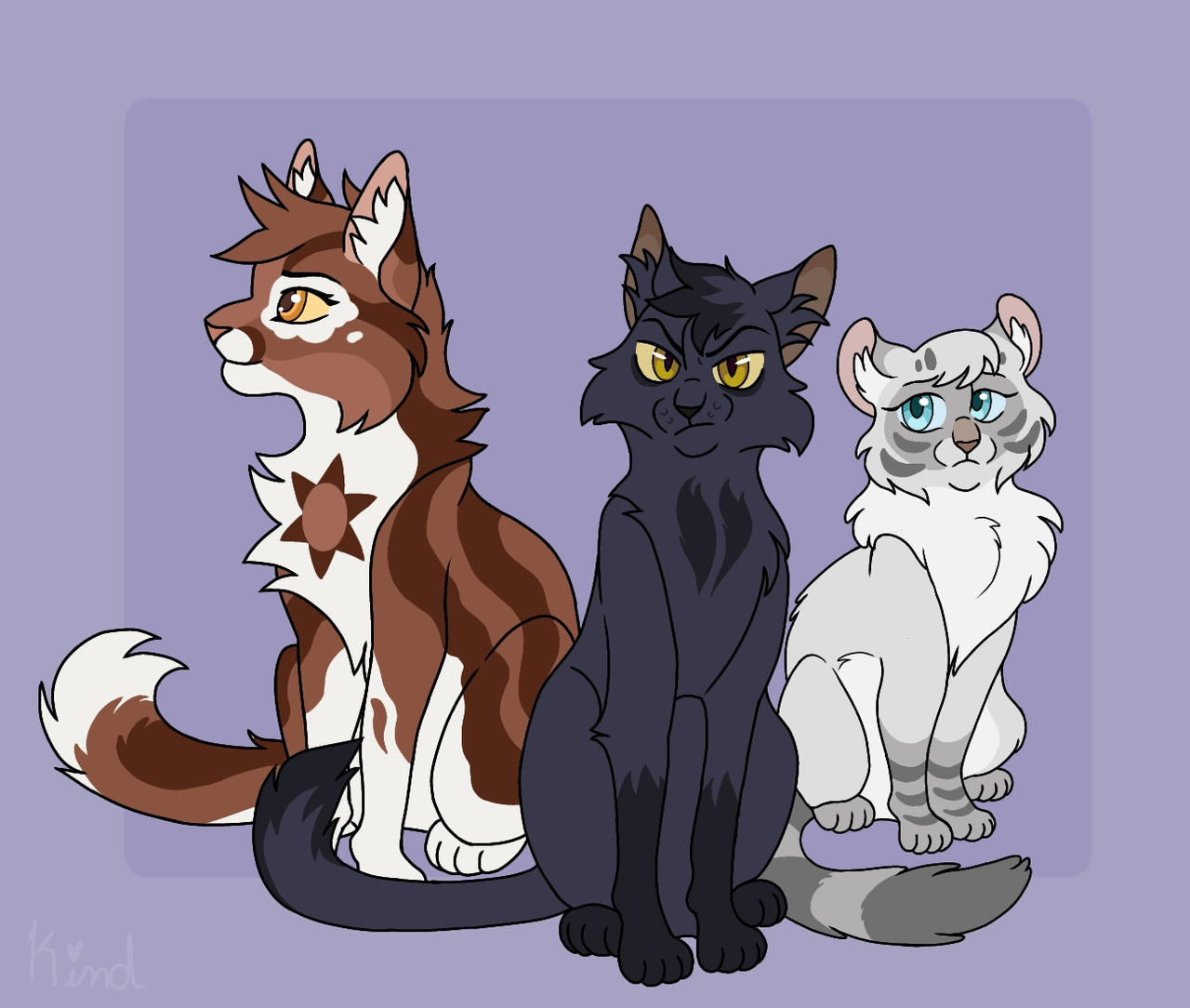 A Starless Clan Trio by Kindheartz on DeviantArt A Starless Clan Trio by Kindheartz on DeviantArt