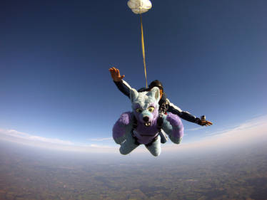 Keenora Fluffball - Fursuit Skydiving