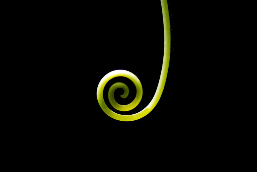 Green swirl