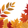 Isolated Autumn Template (PNG)