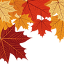 Isolated Autumn leaves Template (PNG)