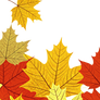 Isolated Autumn leaves Template3 (PNG)