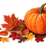 Pumpkin in autumn (PNG)