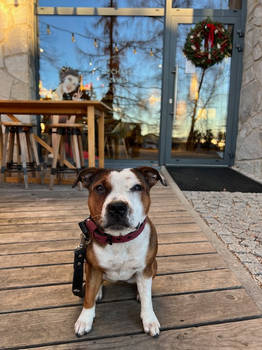 Tara portrait on a trip