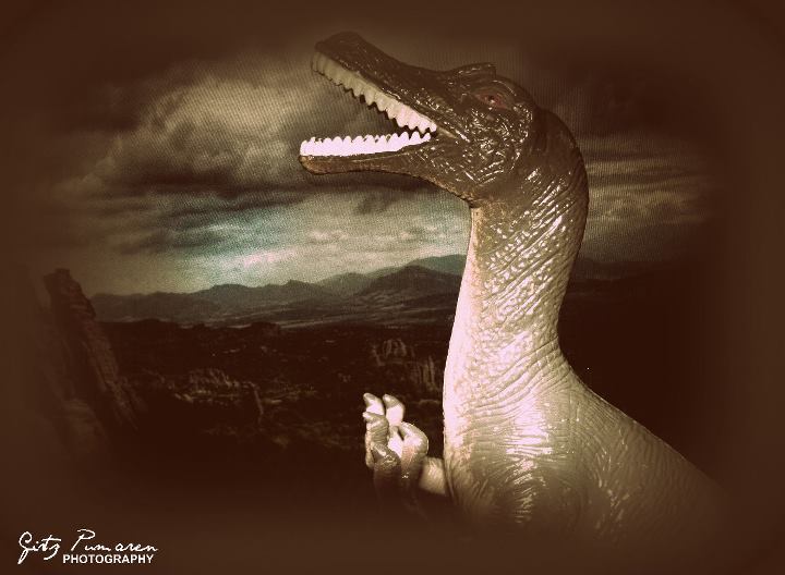 Dino Photography