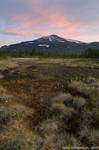 Midgewater Marshes by Gilgond