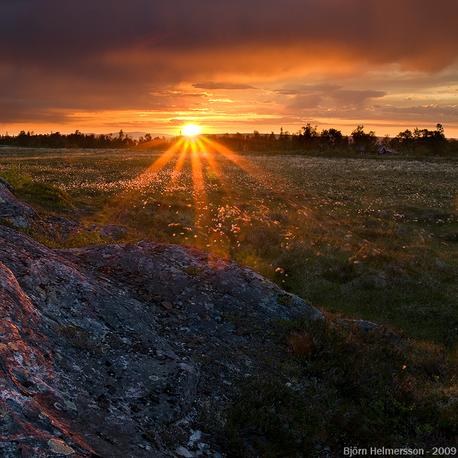 After the Rain