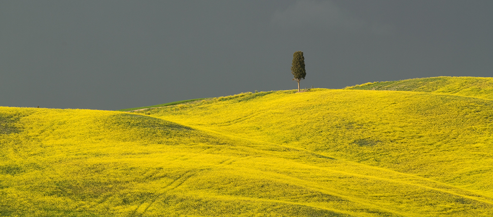 Tuscany IV