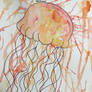 Jellyfish (One)