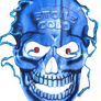 Stone Cold Steve Austin's Lightning Skull Logo 