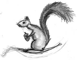 Test pad squirrel