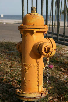 Fire Hydrant