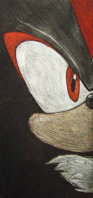 Shadow the Hedgehog