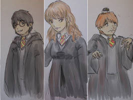 Harry Hermione and Ron
