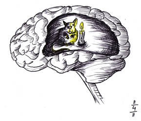 Rat in the brain!