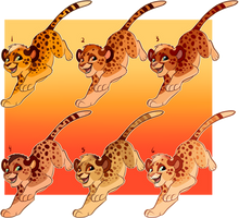 Cheetah Adopts-Closed