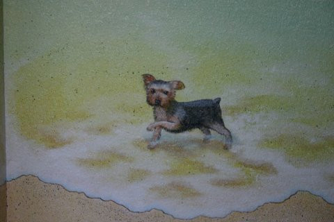 detail, Dog playing in surf