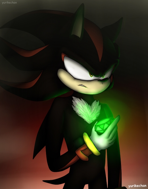 Shadow the hedgehog!