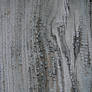 Wood texture 004