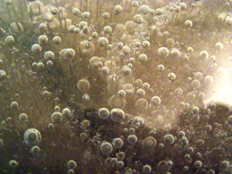 Bubble texture IV