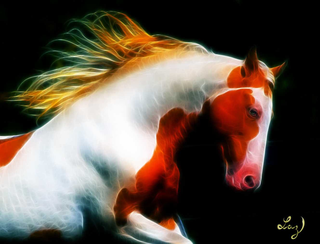 Beautiful Horse