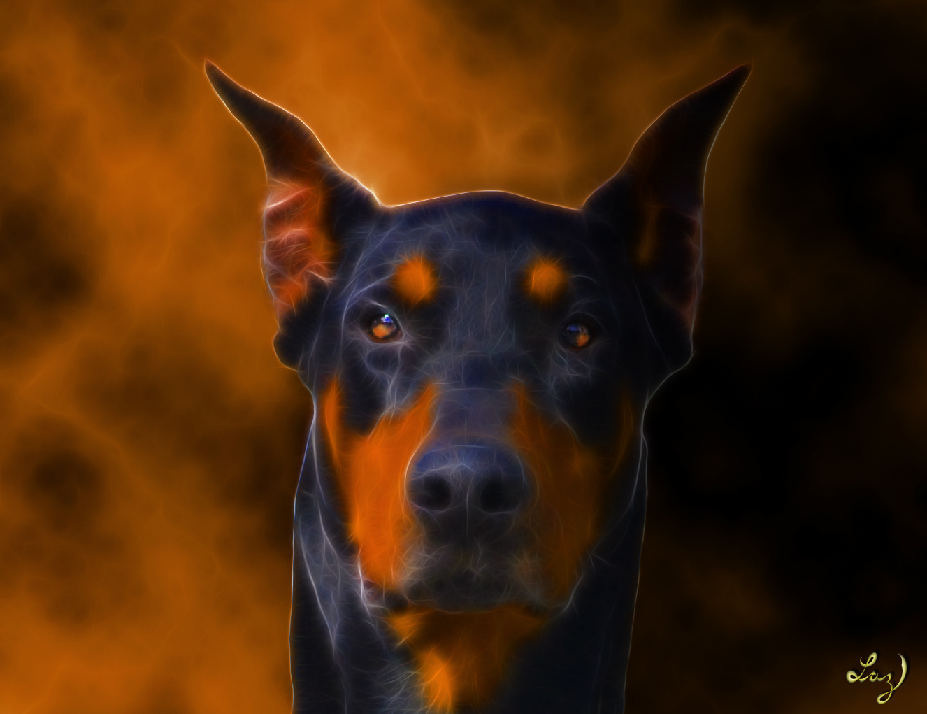 Doberman