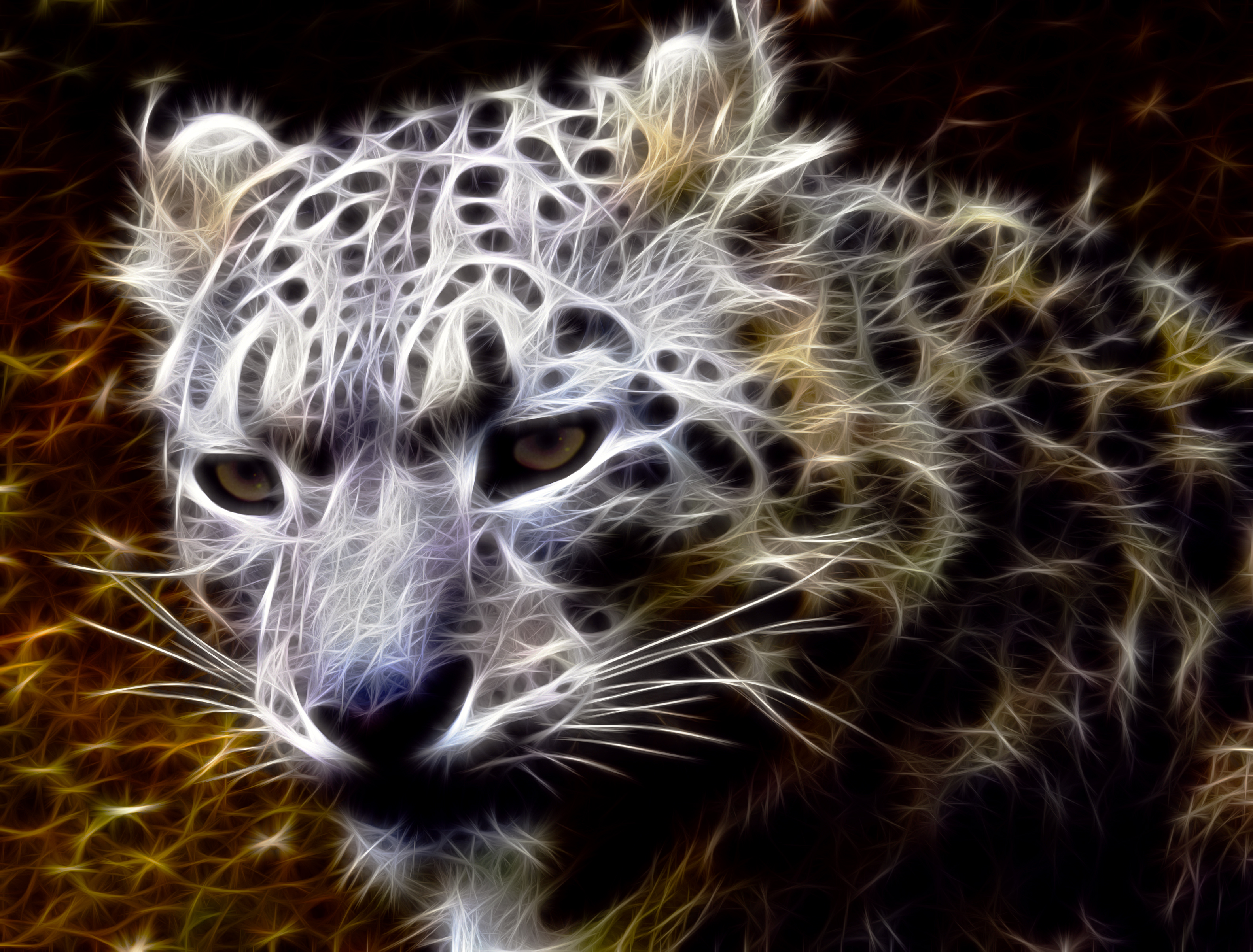 Snow Leopard