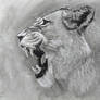Charcoal Lioness