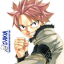 [Render] Natsu Dragneel | Fairy Tail