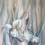 White Irises, oil painting