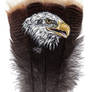 The Eagle Feather