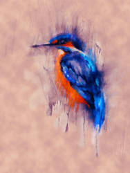 Watchful Kingfisher