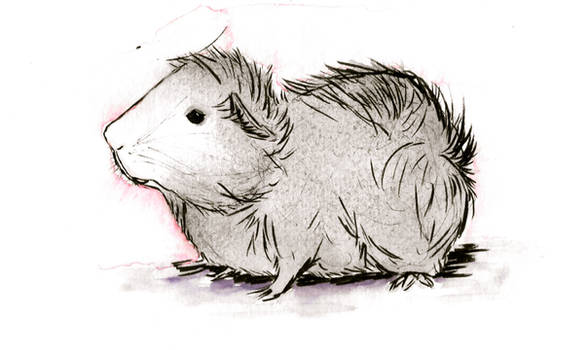 Guinea Pig No. 4