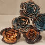 Various Copper Roses