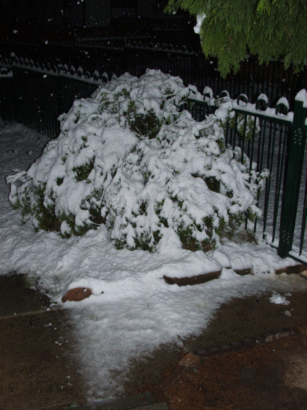 Snow in Lithgow 2014 #8