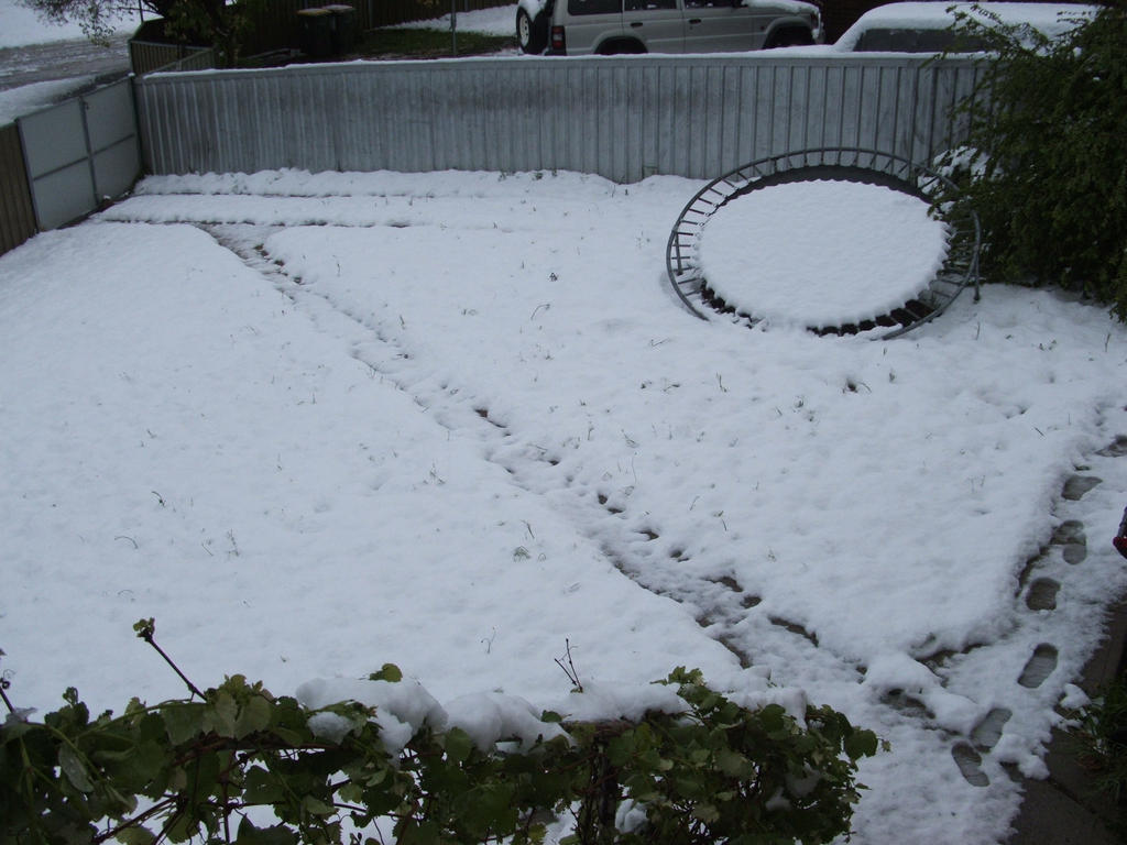 Snow in Lithgow 2014 #16
