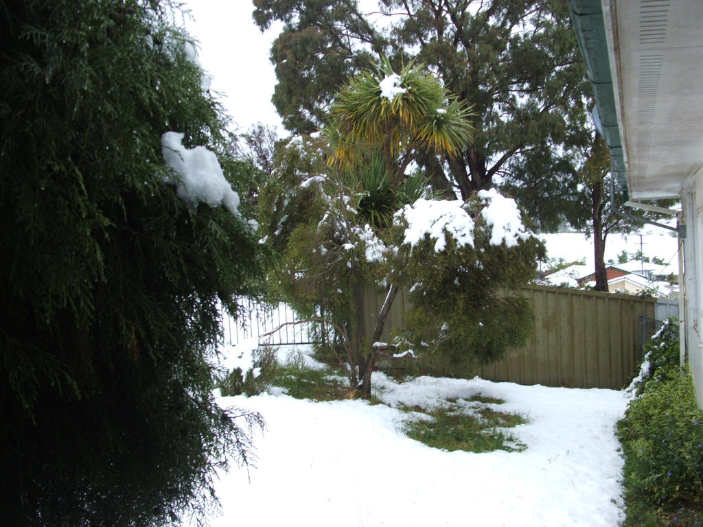 Snow in Lithgow 2014 #18