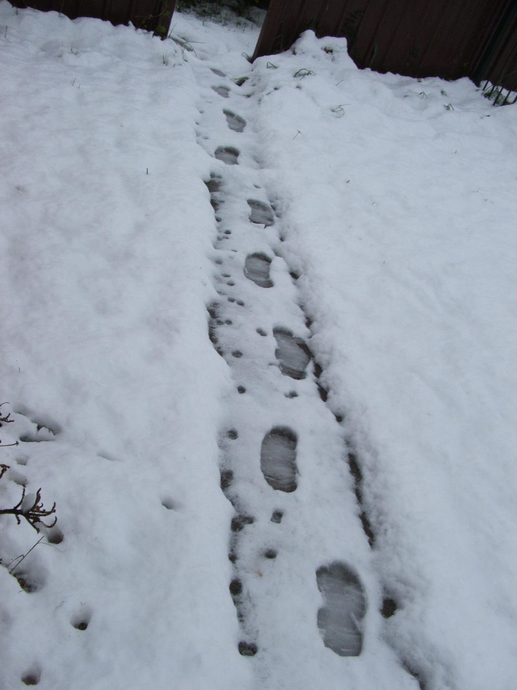 Snow in Lithgow 2014 #20