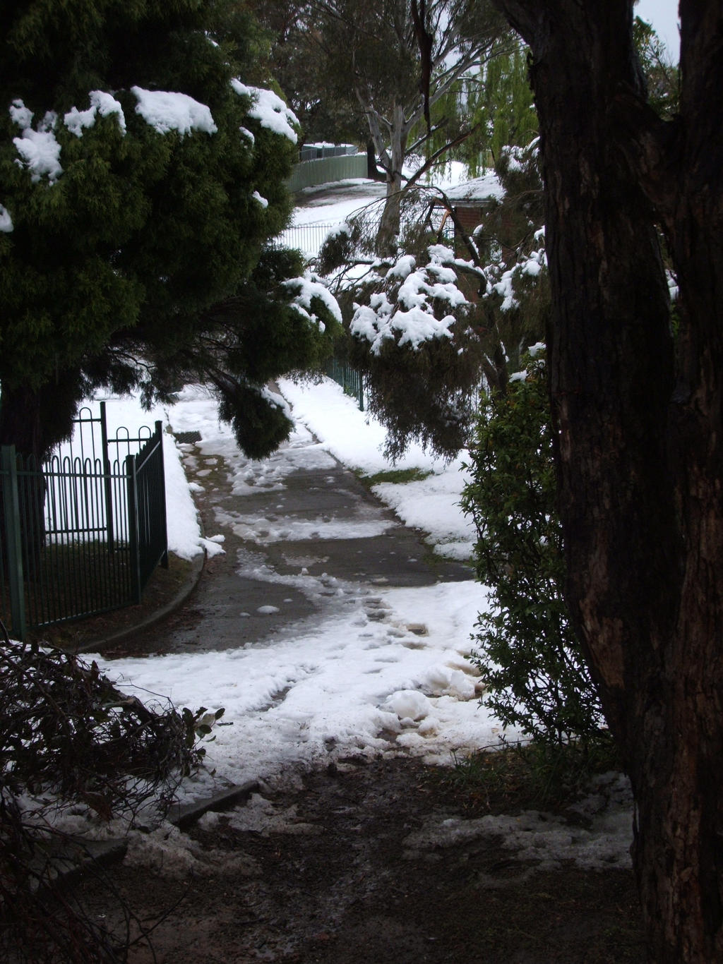 Snow in Lithgow 2014 #30