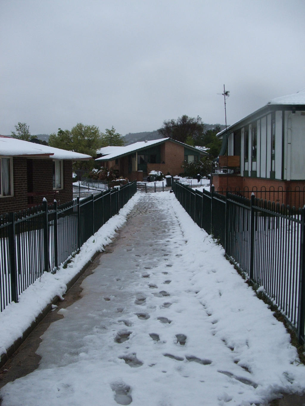 Snow in Lithgow 2014 #39