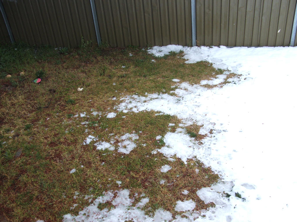 Snow in Lithgow 2014 #46