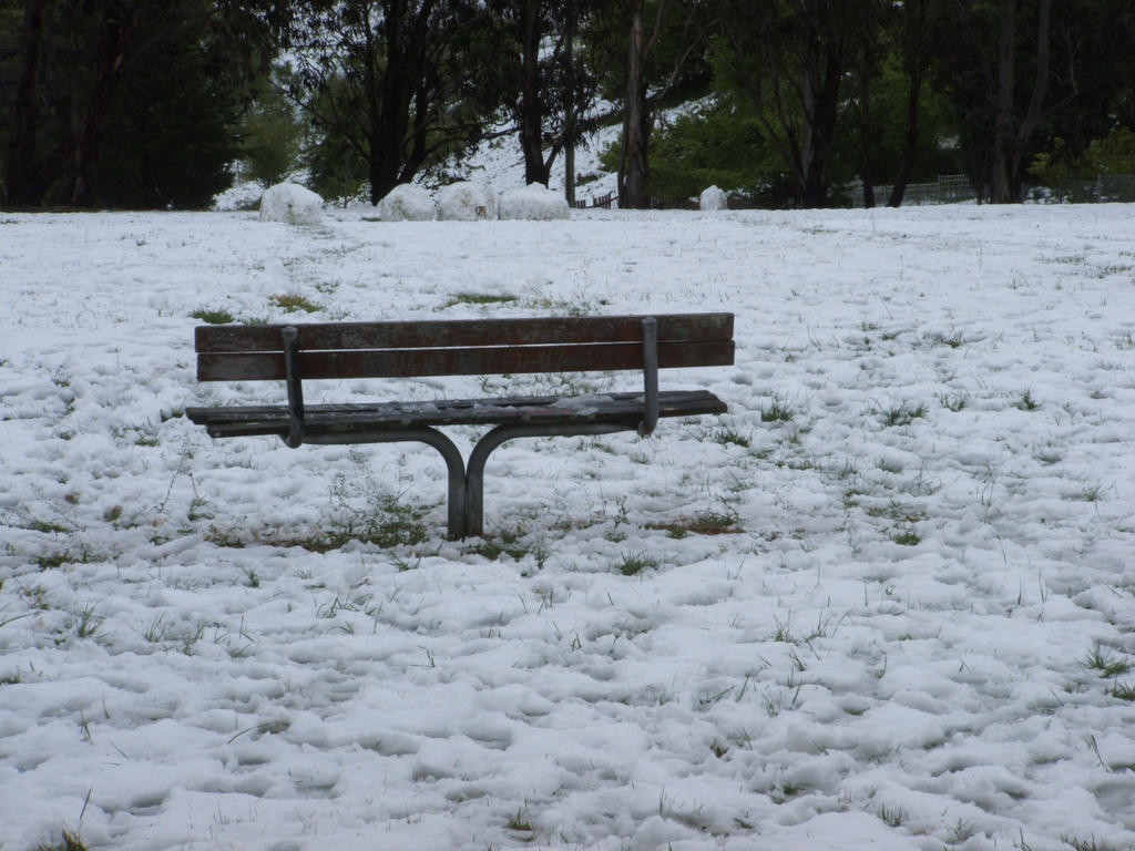 Snow in Lithgow 2014 #59