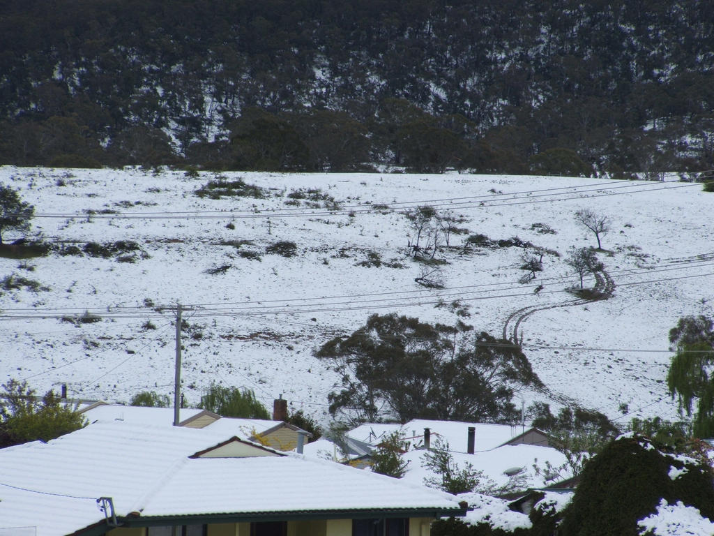 Snow in Lithgow 2014 #62