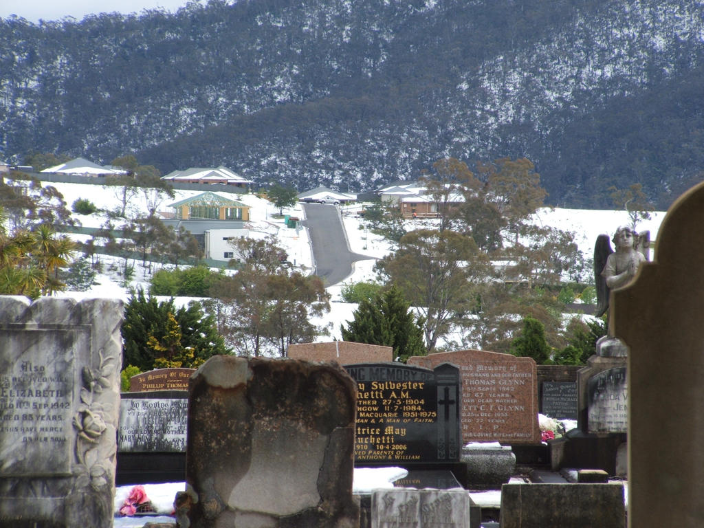 Snow in Lithgow 2014 #64