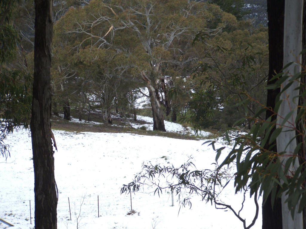 Snow in Lithgow 2014 #67