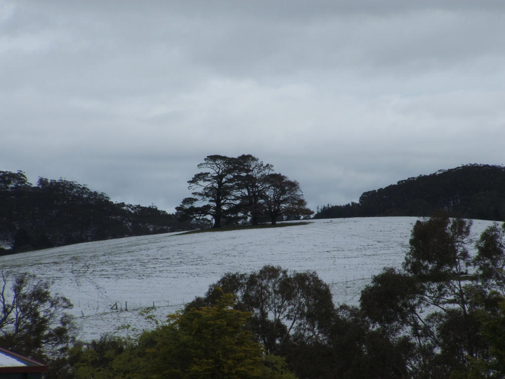 Snow in Lithgow 2014 #71